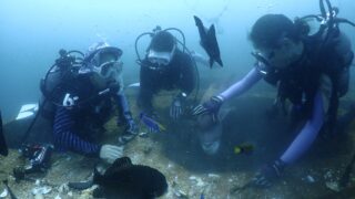 【ダイブログ】波左間2ボートダイビングツアー！水中神社とドーム、そして牡蠣割り体験まで！？