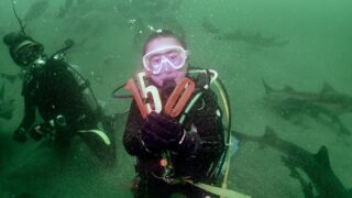 【祝・150本記念！伊戸サメツアー】透明度3mの海でサメと祝う！激レア“緑の海”ダイブ！